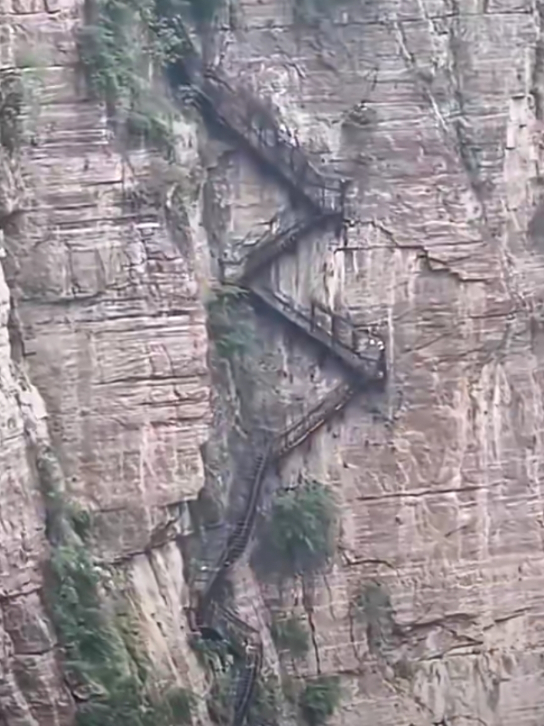 包含澳大利亚劲旅再胜，竞技之路挑战重重的词条